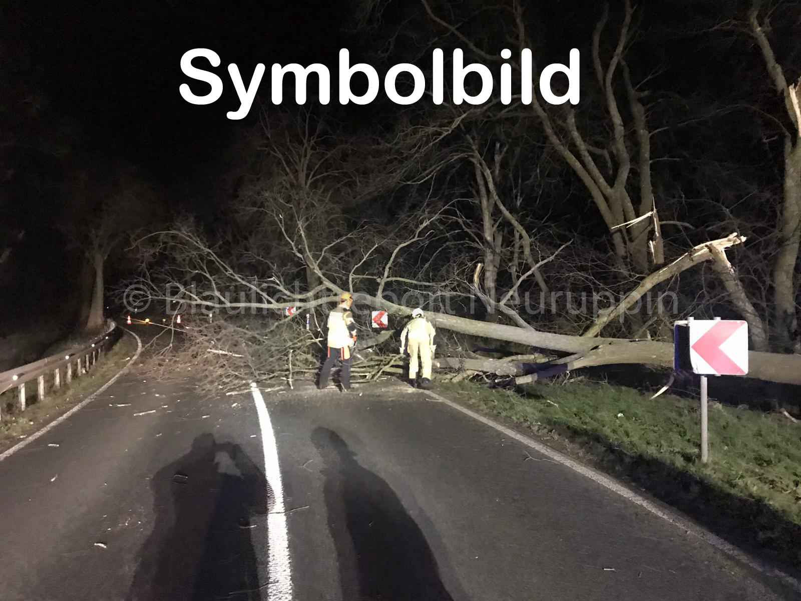 Sturm-Einsatz: Umgefallener Baum blockiert Straße in Breddin